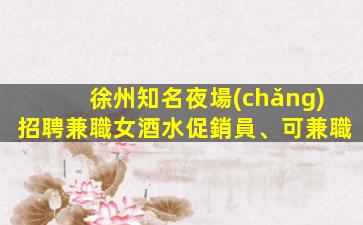 徐州知名夜場(chǎng)招聘兼職女酒水促銷員、可兼職